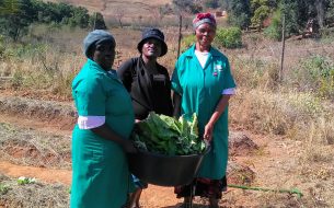Une agriculture durable pour sécuriser l&rsquo;alimentation des communautés vulnérables de Piggs Peak