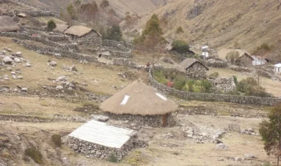 Comité de sélection du 28 février 2013