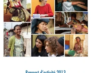 Rapport d’activité 2013