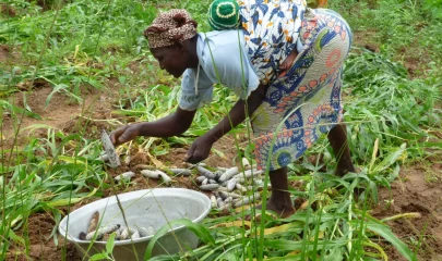 Comité de sélection du 4 Mars 2014