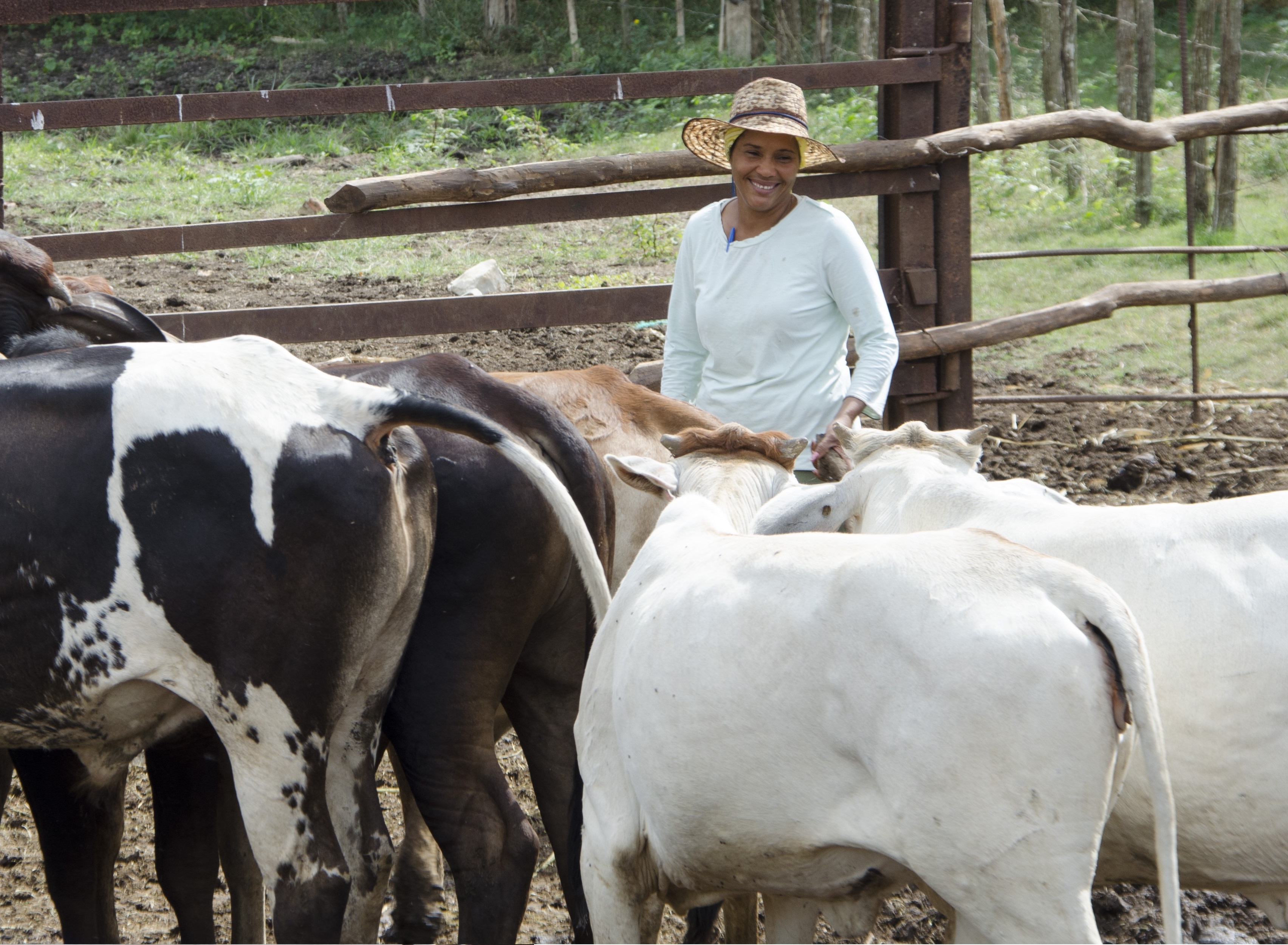 Femmes et environnement : la Fondation se mobilise