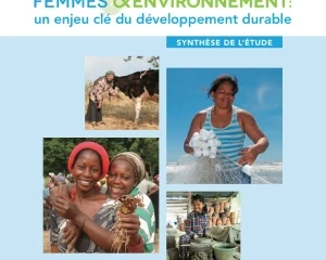 Femmes & Environnement : un enjeu clé du développement durable (synthèse, 2015)