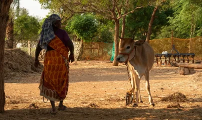 La Fondation soutient 15 nouveaux projets en faveur des femmes