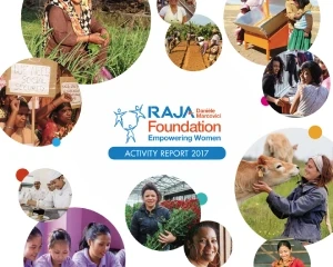 2017 Activity Report