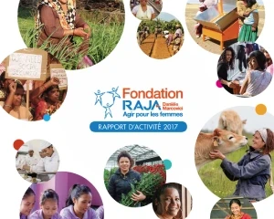 Rapport d’activité 2017