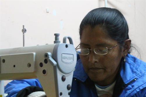 Entreprendre au féminin à POTOSI : aide à la création de micro-entreprises