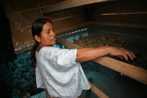Appui à la valorisation du travail et du rôle des femmes au Guatemala