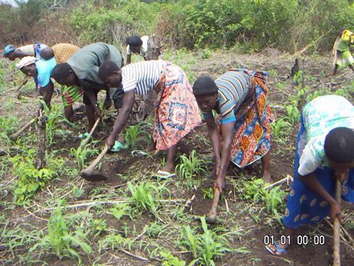 Développement rural et soutien de l’autopromotion paysanne