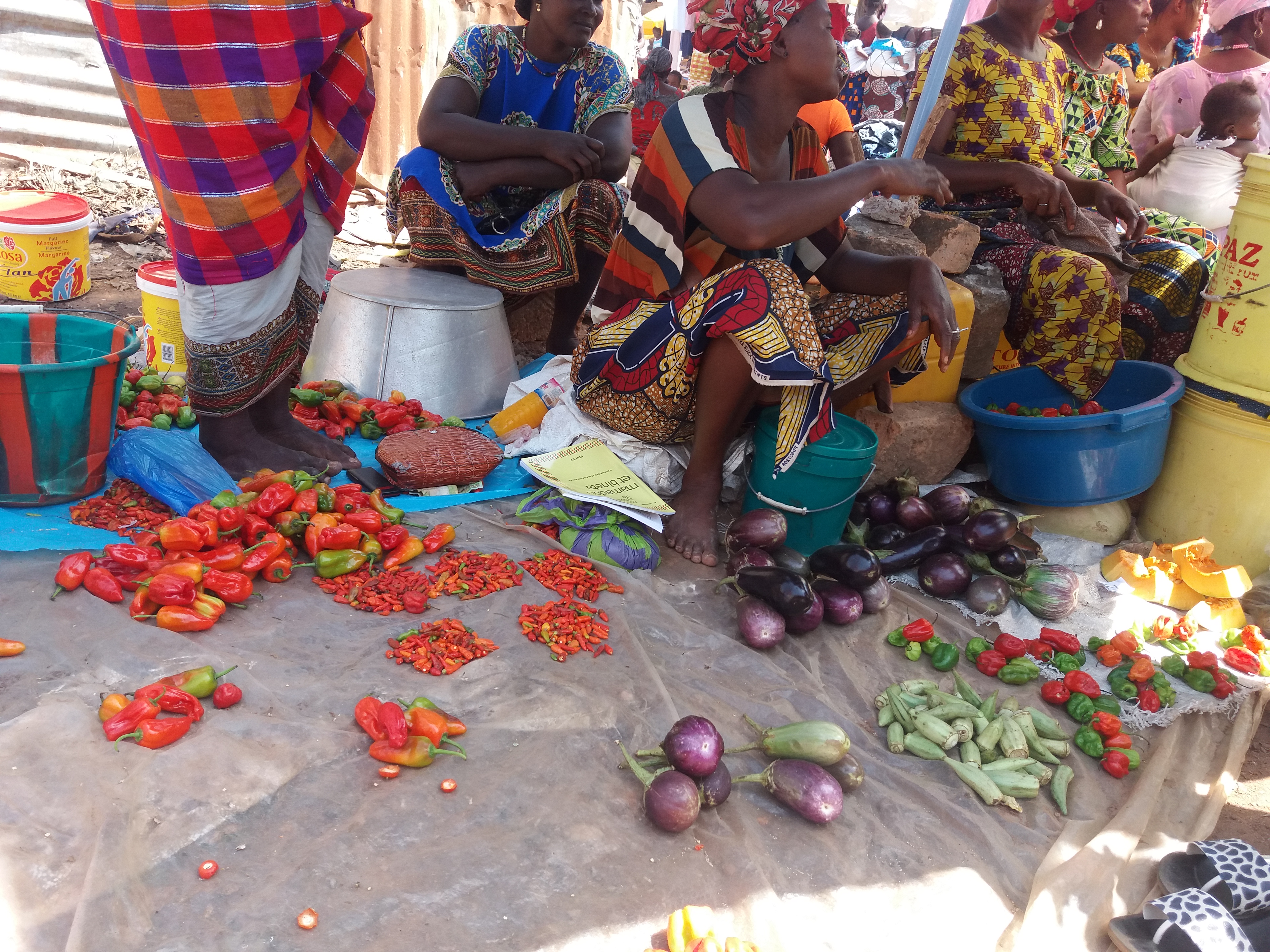 Renforcement des capacités et équipement de la coopérative de femmes de Kolaboui pour transformer et commercialiser les produits agricoles locaux