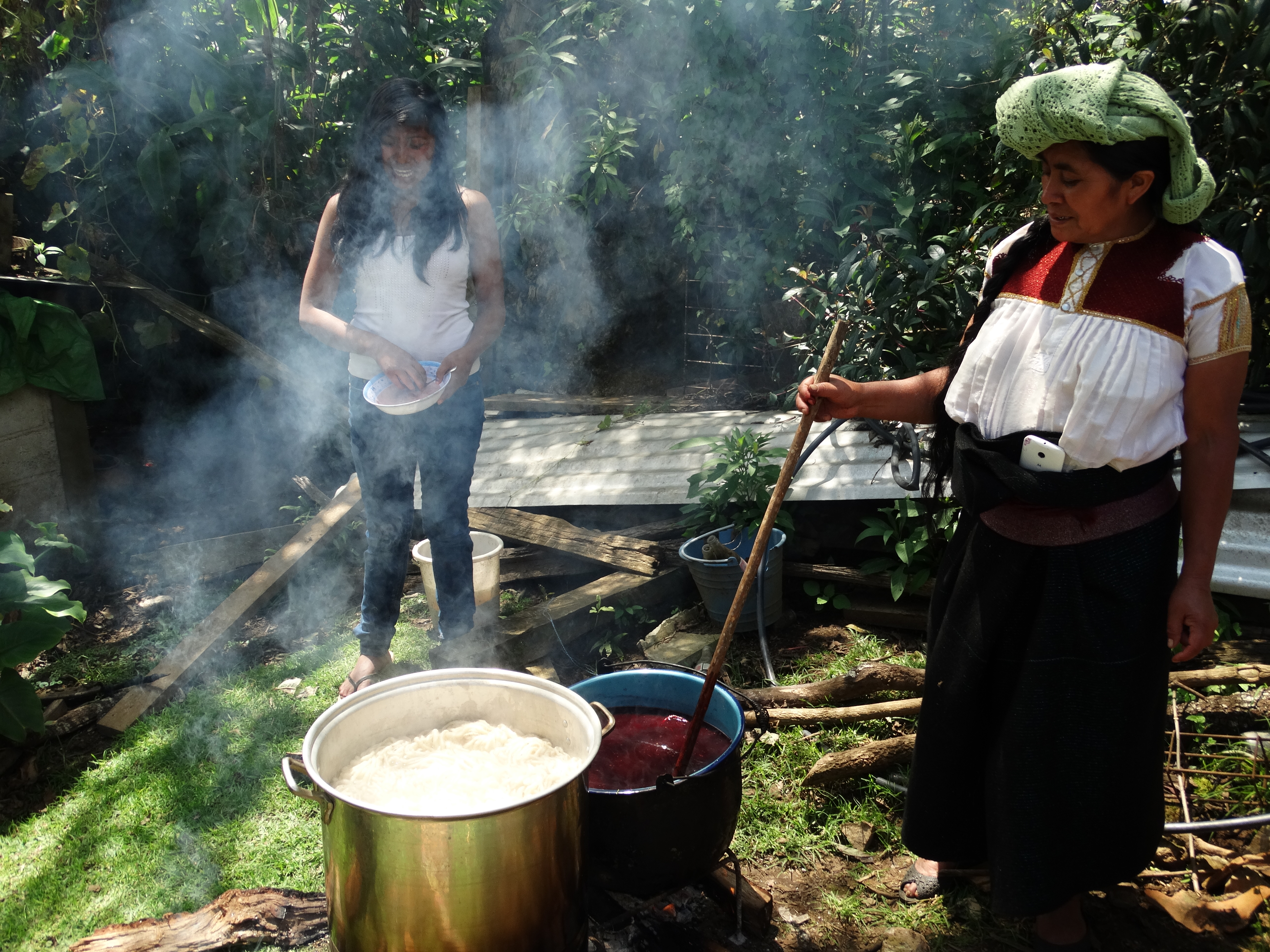 ECLA : un second souffle pour grandir et progresser