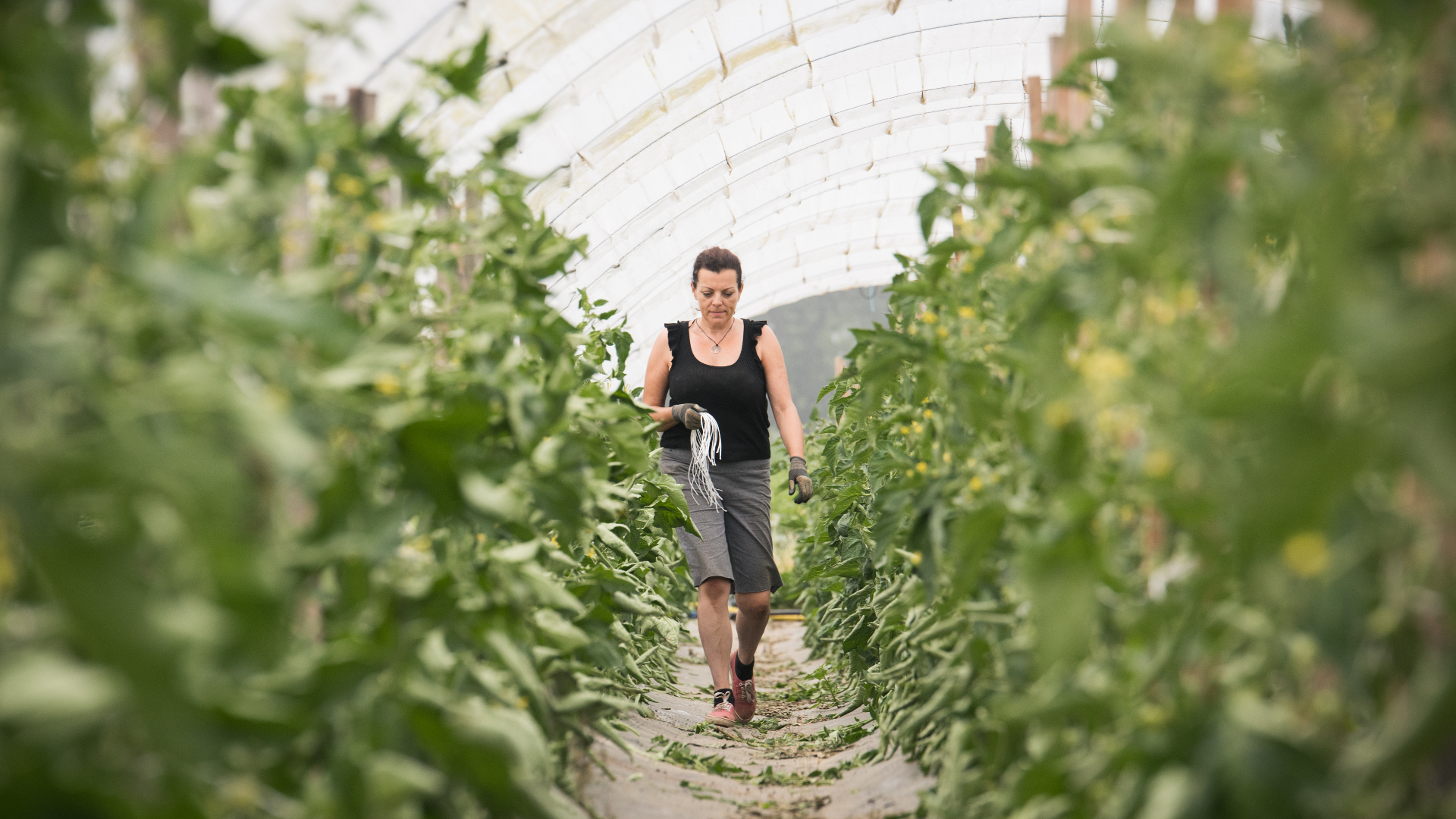 Promouvoir le travail des femmes dans l’agriculture biologique