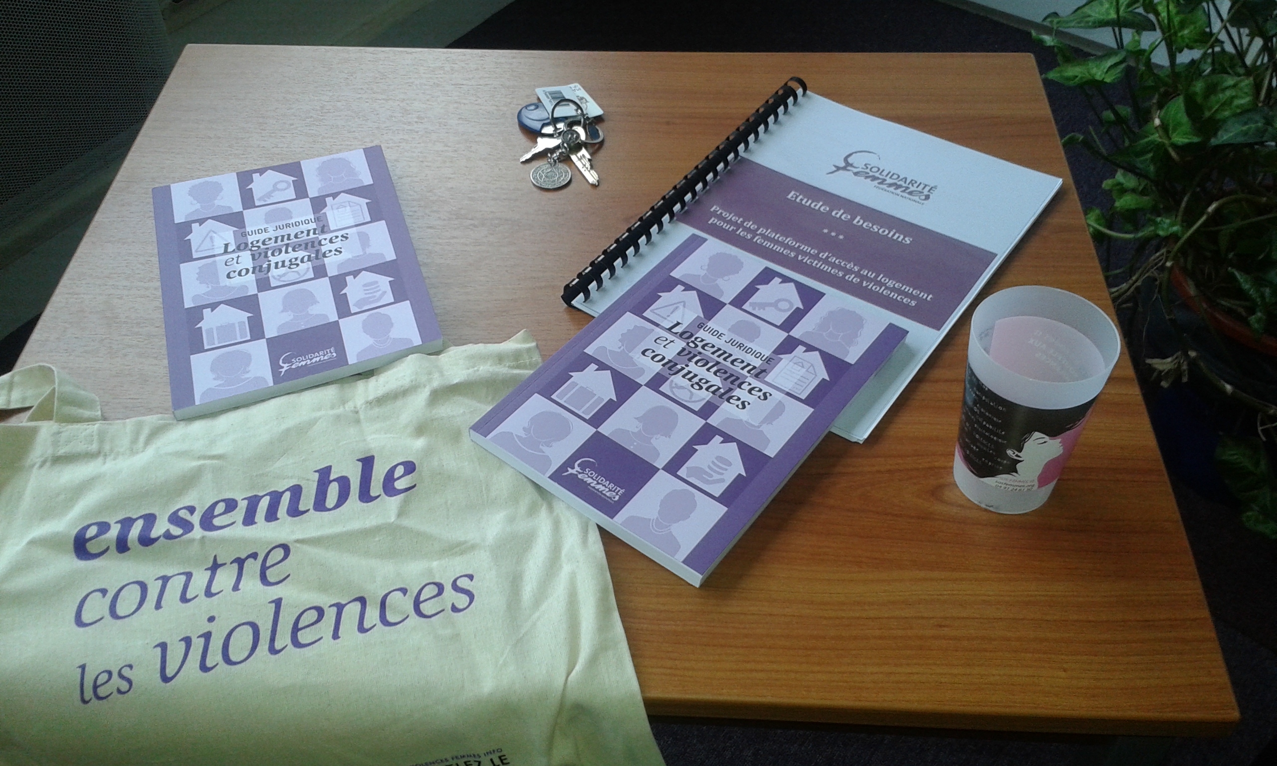 Plateforme d’accès au logement pour les femmes victimes de violence