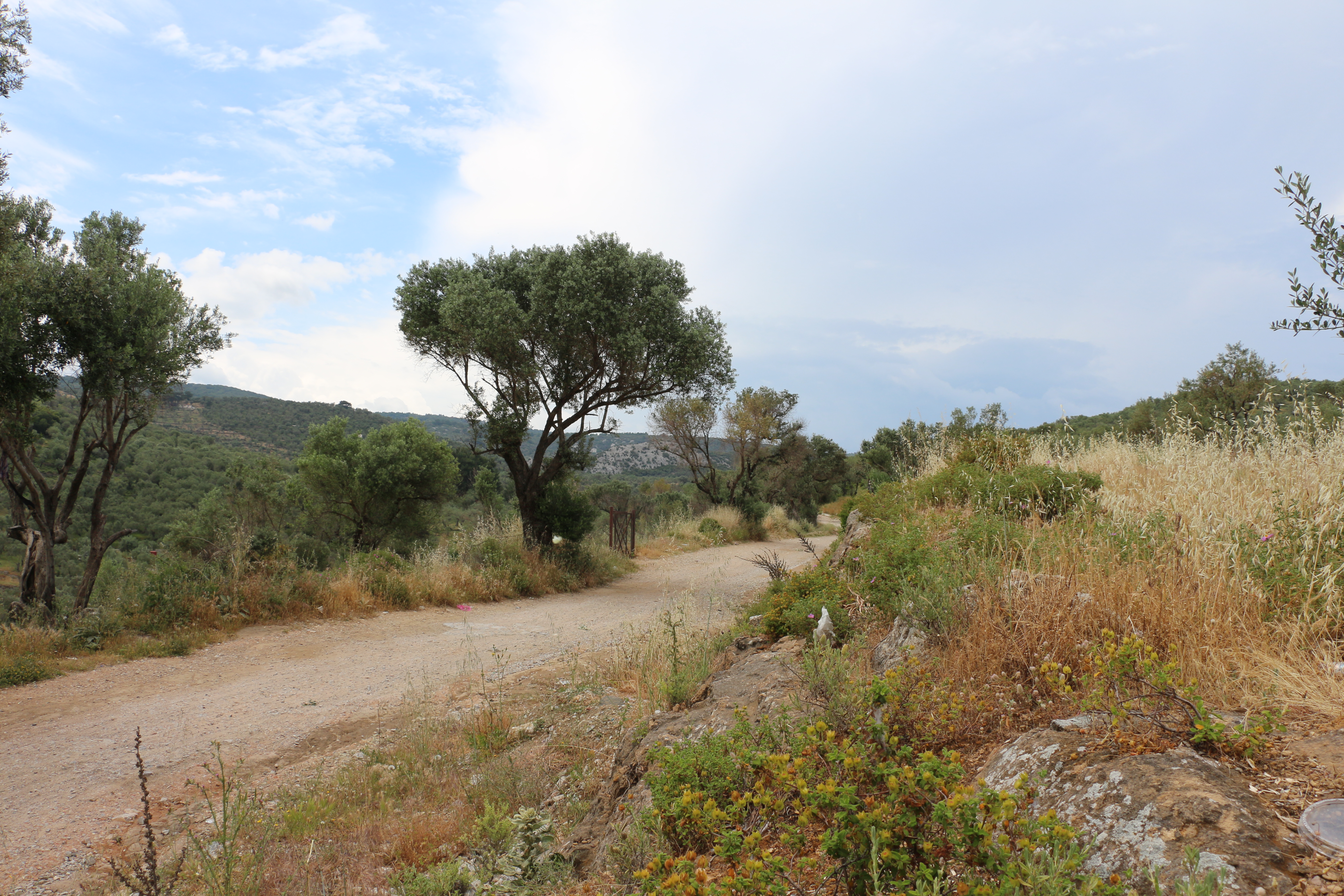 Visite du camp de réfugié.e.s de Moria sur l’île de Lesbos en Grèce
