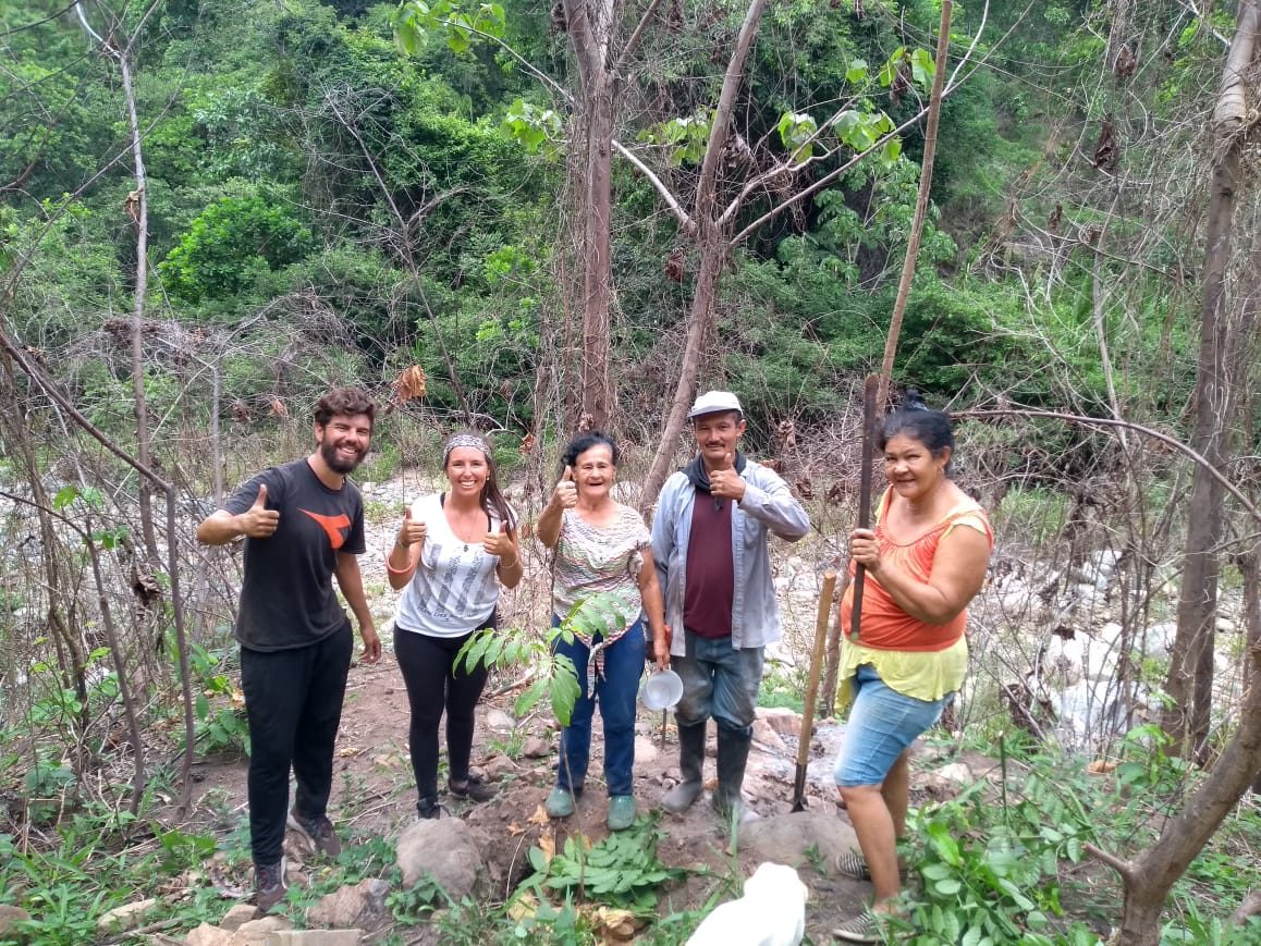 Restauration forestière, Noyer Maya et adaptation au changement climatique