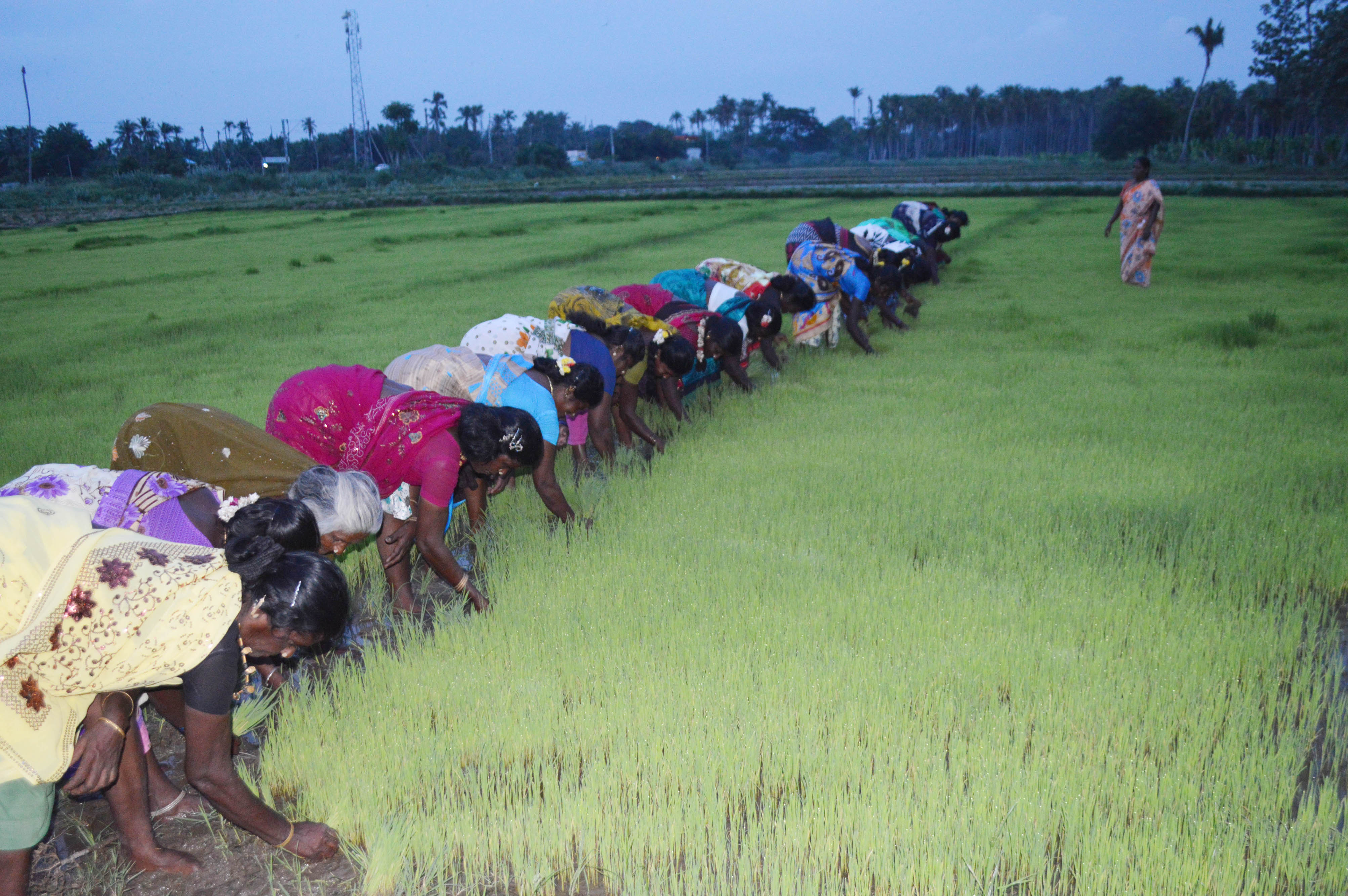 Un pouvoir pour demain