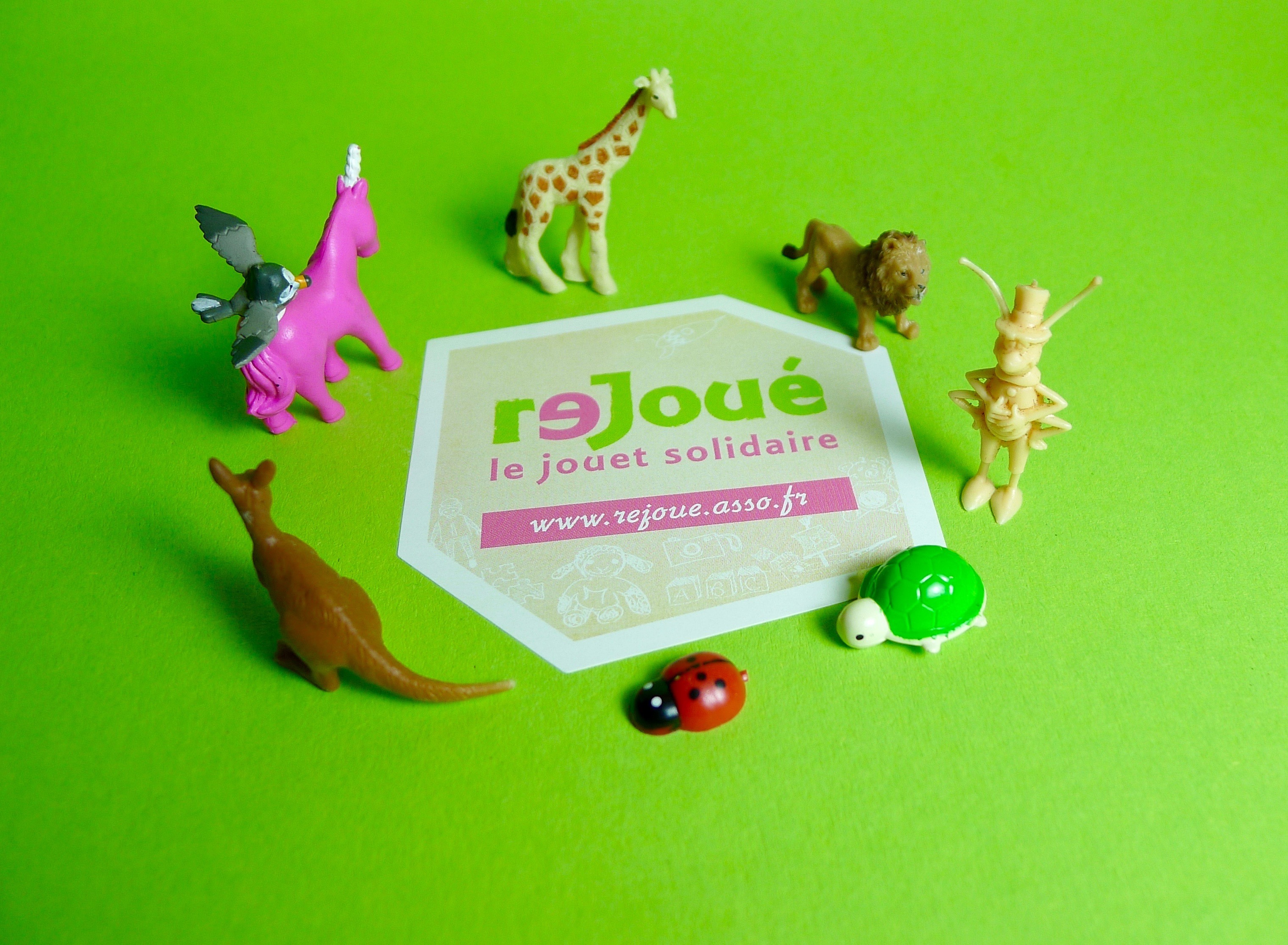 Revaloriser le rôle des femmes dans la lutte contre le changement climatique