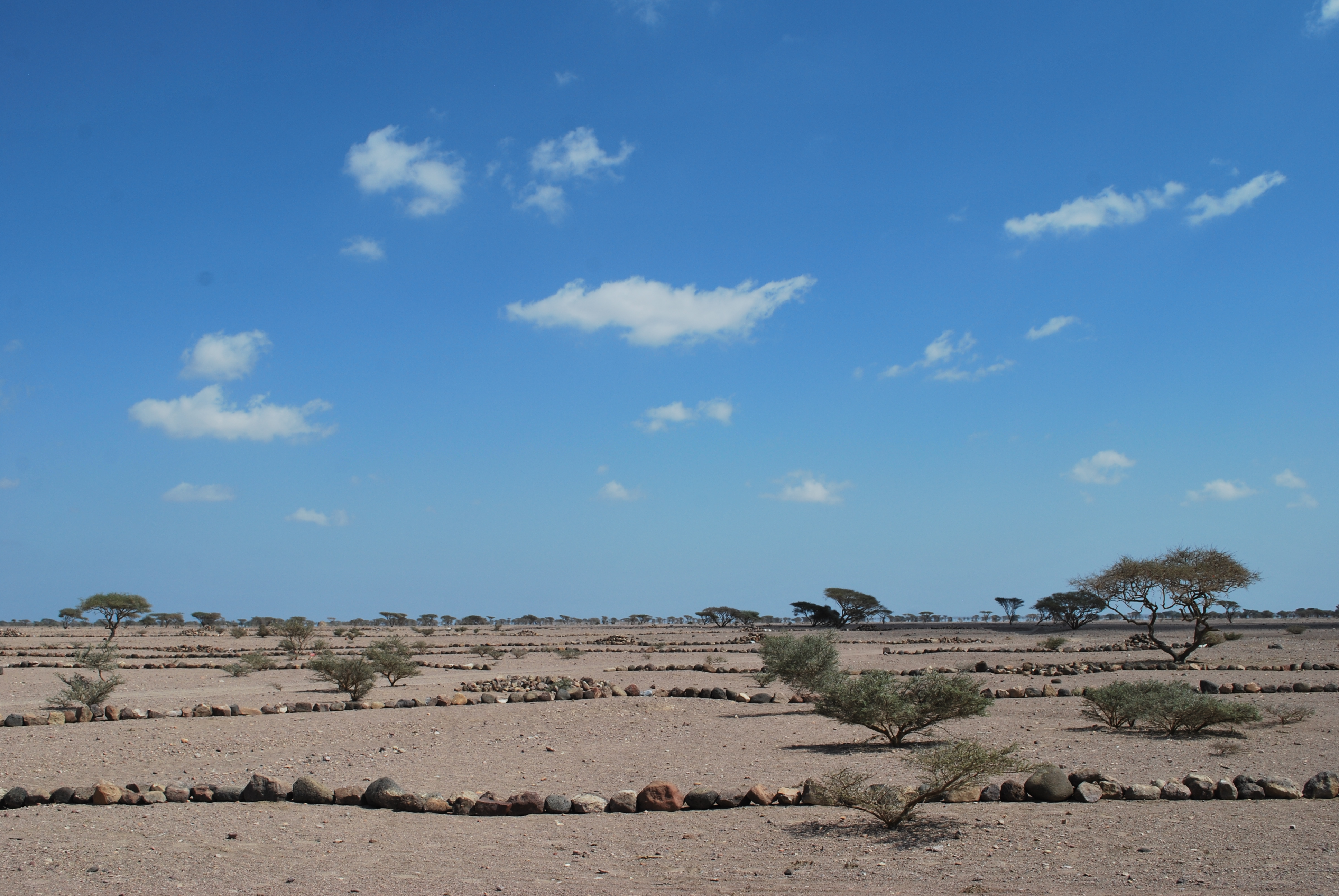 Favoriser l’autonomisation économique des femmes rurales djiboutiennes