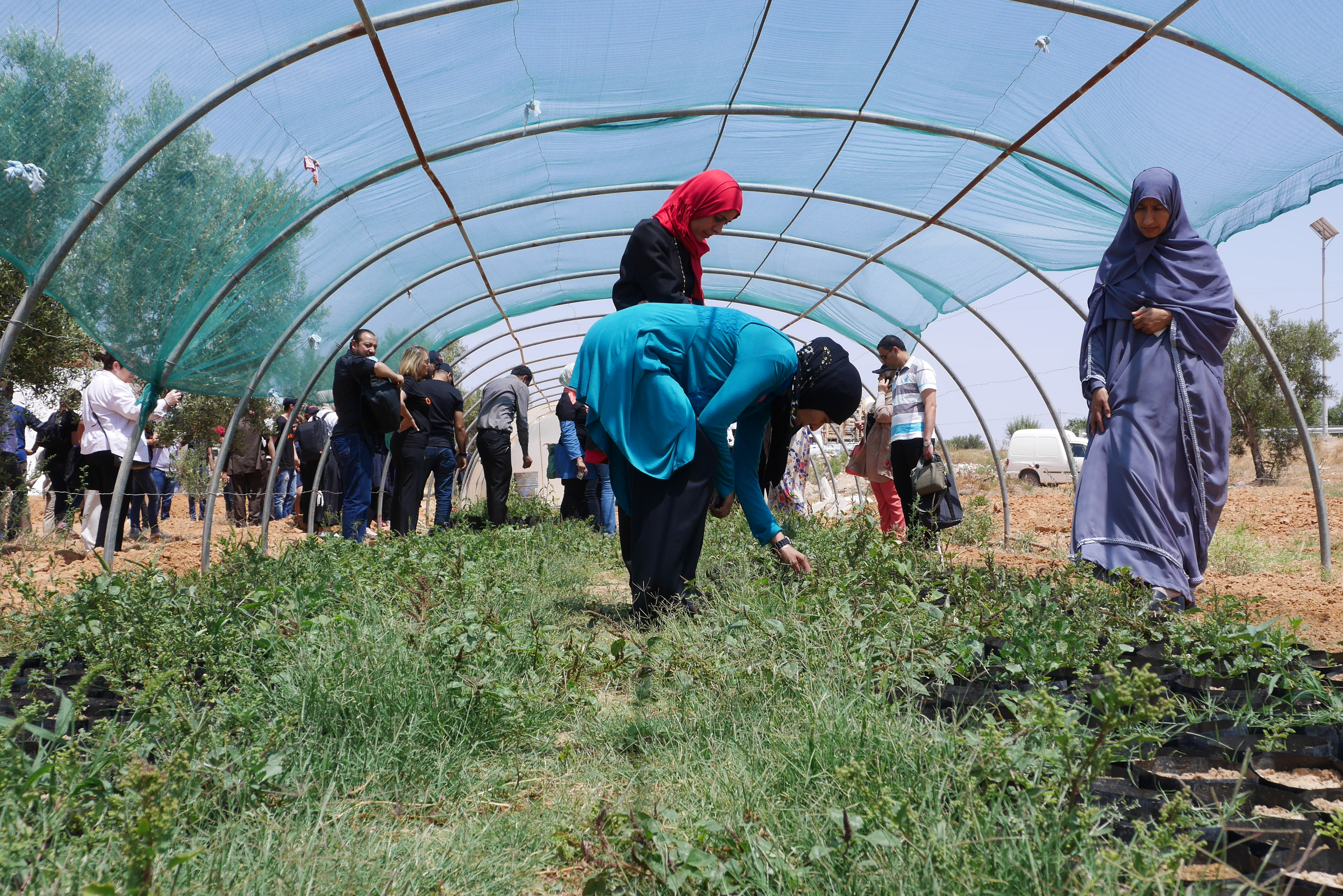 Formation d’agricultrices à l’agro-écologie pour promouvoir l’adaptation au changement climatique dans les zones semi-arides/arides de Méditerranée