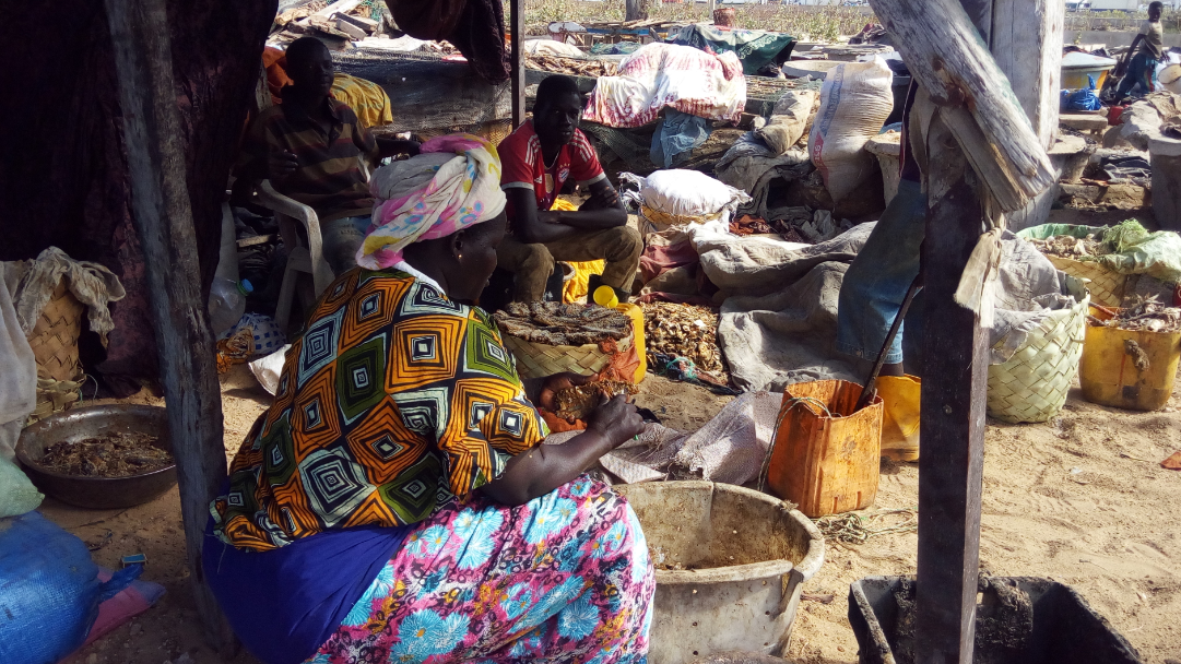 Valorisation des déchets halieutiques et d’accès à une énergie durable pour les femmes transformatrices de poisson