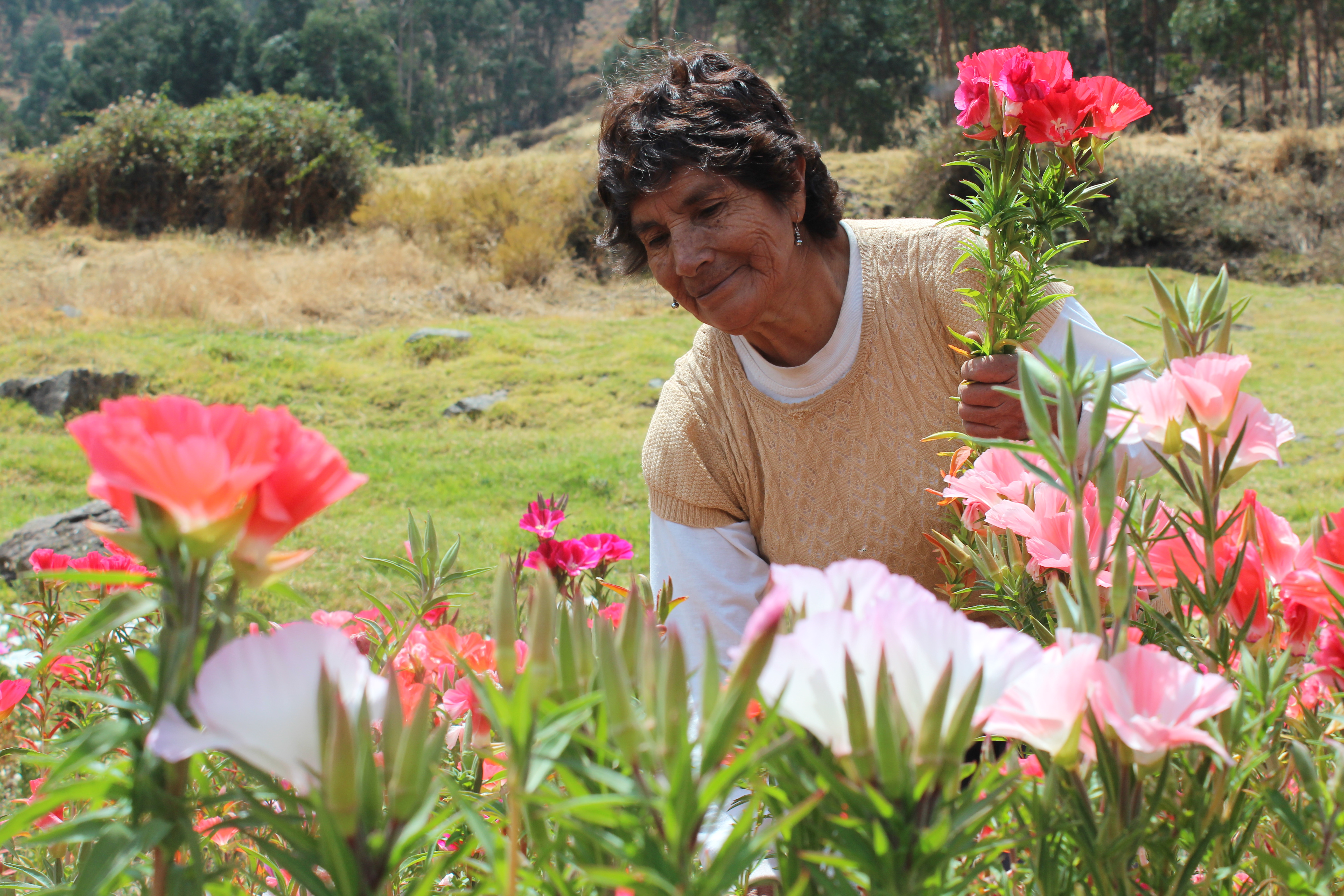 Formation et accompagnement d’un groupe de femmes agricultrices