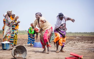 Sustainable development of agriculture in mangroves