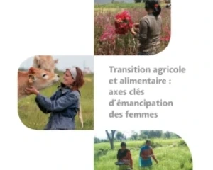 Transition agricole et alimentaire : axes clés d’émancipation des femmes (étude complète, 2018)