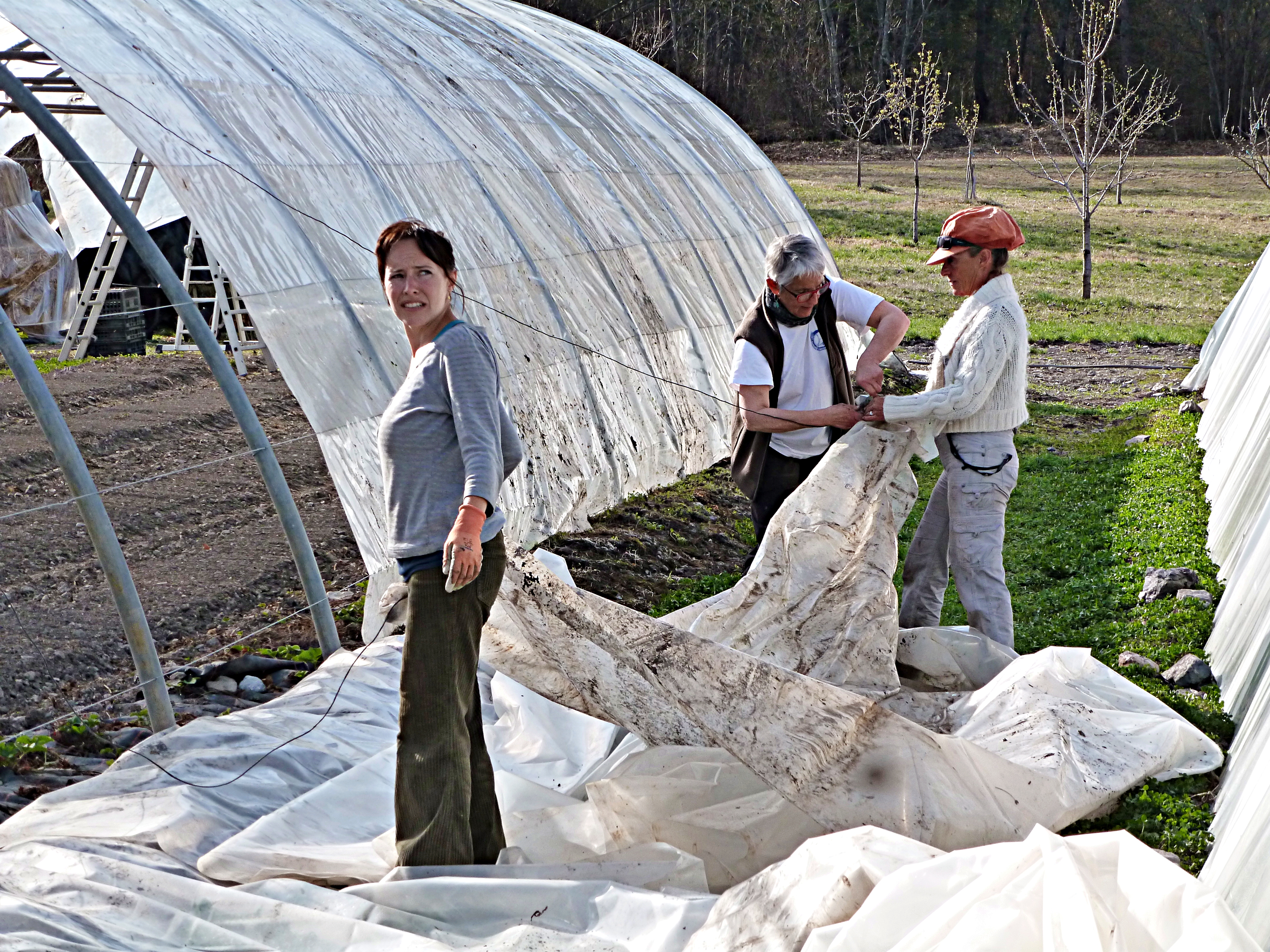 Dynamiser les opportunités économiques des agricultrices en renforçant leurs connaissances techniques sur les pratiques agroécologiques