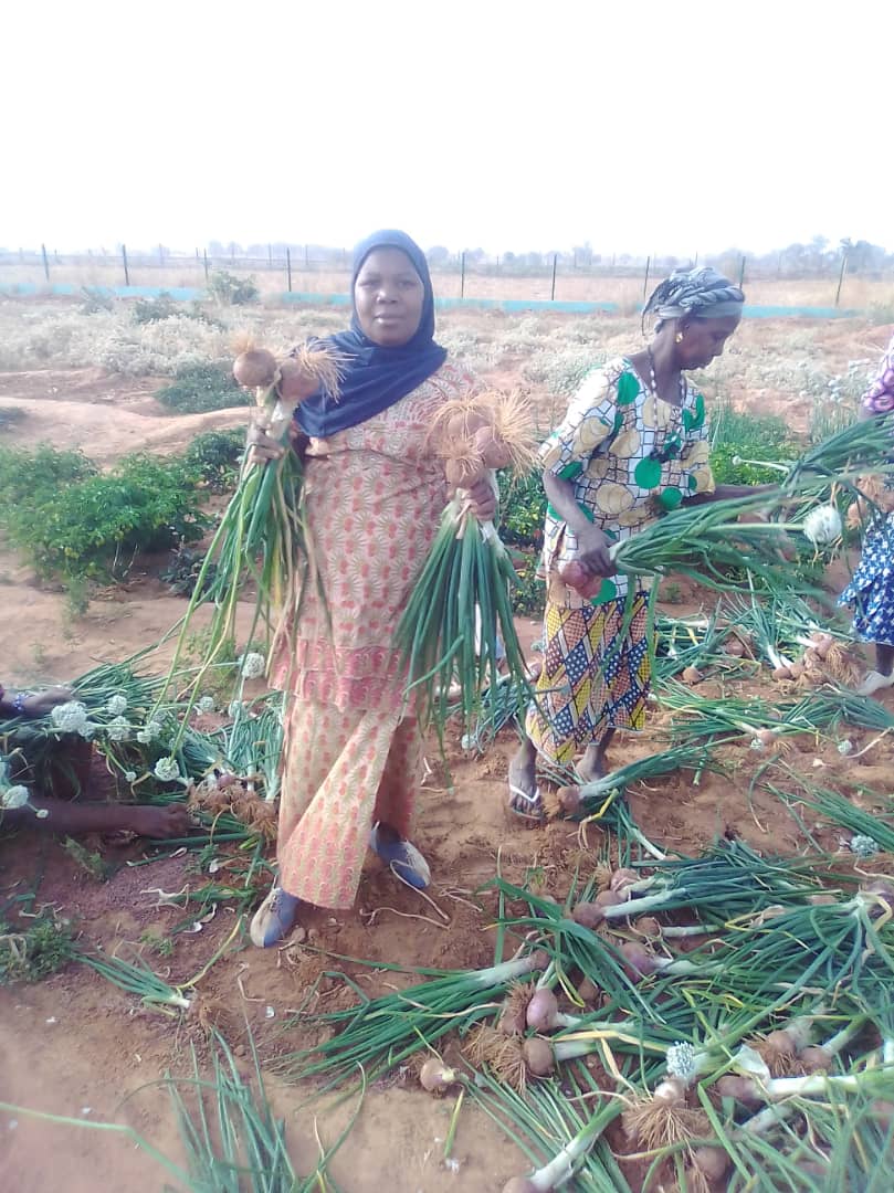 Former les jeunes femmes aux pratiques agroécologiques et à la commercialisation de leurs produits