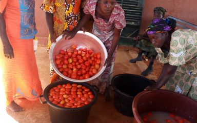 Training young women to agroecological methods and to the commercialisation of their production