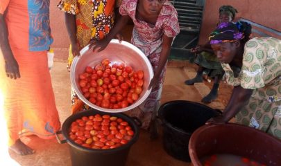 Training young women to agroecological methods and to the commercialisation of their production