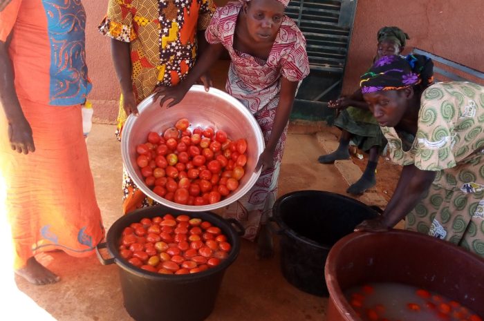 Training young women to agroecological methods and to the commercialisation of their production