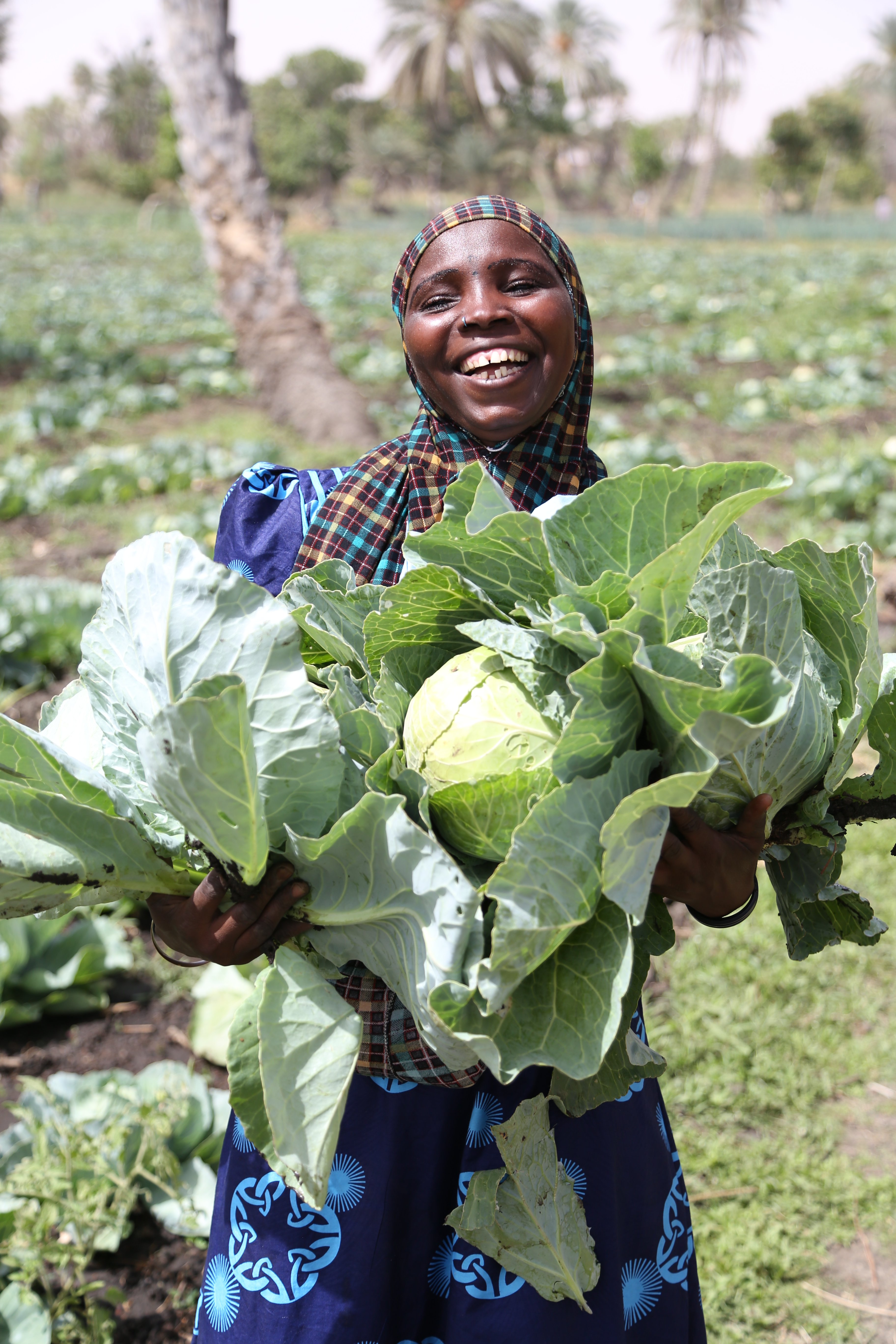 Accompanying women towards more sustainable production methods and supporting them in the creation of a cooperative