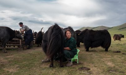 Promoting the role of female farmers and contributing to strengthening their agricultural activities