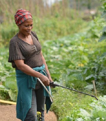 Renforcer les compétences agroécologiques des maraîchères et les accompagner dans le développement d’une stratégie de commercialisation de leurs produits
