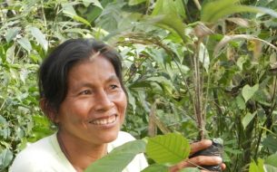 Accompagner des groupements de femmes dans la commercialisation de fruits cultivés de manière durable et issus de parcelles reforestées