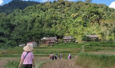 Promouvoir la place de femmes issues de minorités ethniques dans la gestion durable des ressources naturelles et la création d’activités écotouristiques