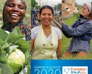 Rapport d’activité 2020