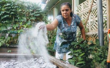 Former des femmes retraitées et/ou handicapées à des pratiques agroécologiques afin de leur assurer la sécurité alimentaire