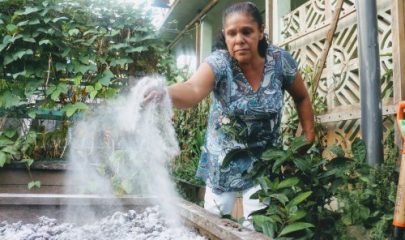 Former des femmes retraitées et/ou handicapées à des pratiques agroécologiques afin de leur assurer la sécurité alimentaire