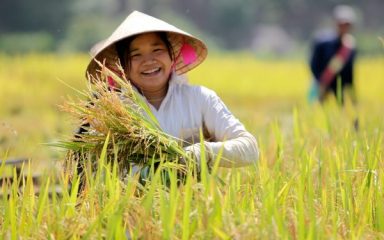 Promouvoir la place de femmes issues de minorités ethniques dans la gestion durable des ressources naturelles et la création d’activités écotouristiques