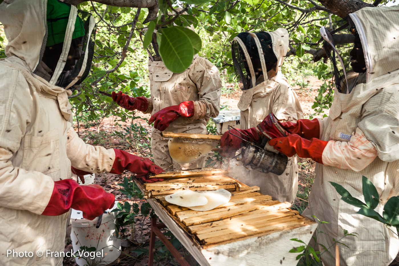 Training rural women as beekeepers while preserving local biodiversity through beekeeping