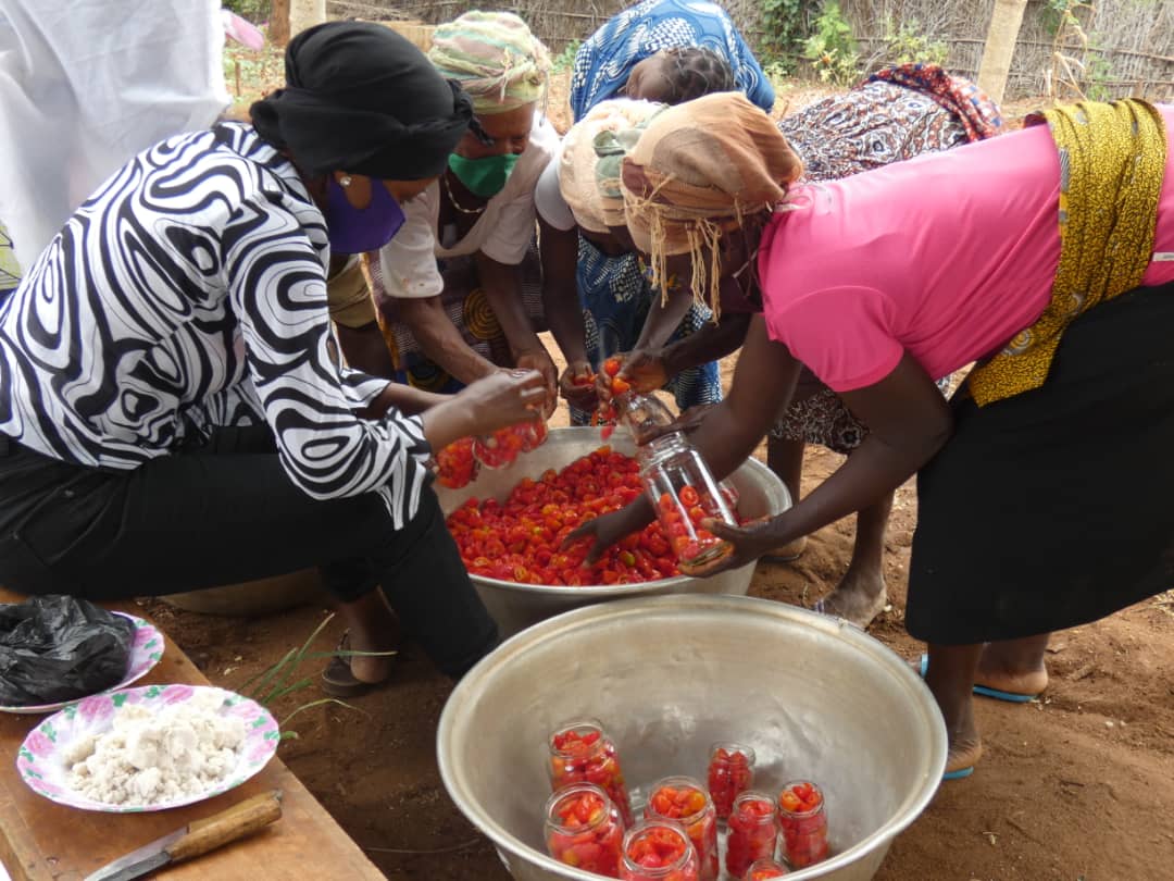 Accompagner des agricultrices dans une activité de valorisation des surplus de récoltes de tomates en les transformant en conserves et en jus