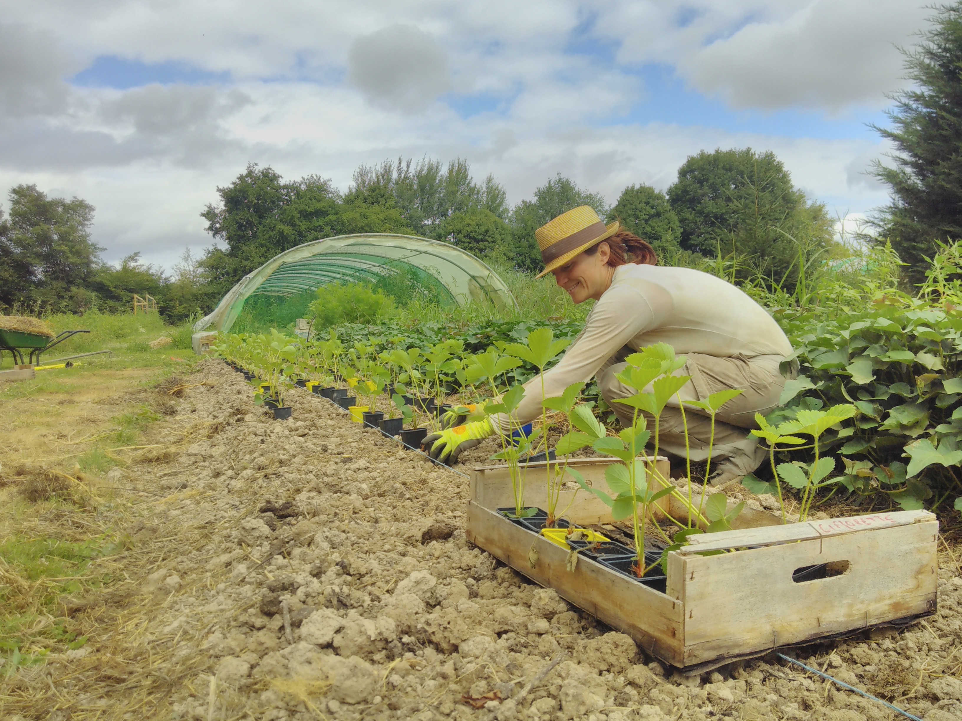 Promouvoir l’installation de femmes non issues du milieu agricole dans des activités d’agriculture biologique