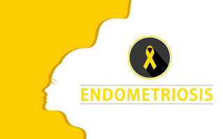 Endometriosis, meeting with Lone Hummelshoj, Executive Director of the World Endometriosis Research Foundation