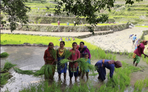 Graines de Résilience : Agroécologie paysanne et résilience aux changements climatiques en Inde du Nord