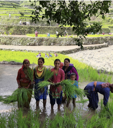 First selection 2022: 17 new projects supported