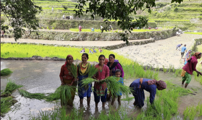 First selection 2022: 17 new projects supported