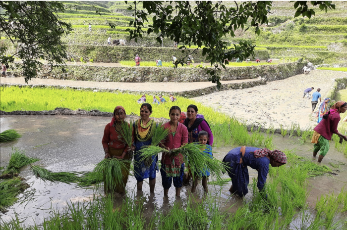 Seeds of Resilience: Agroecology and Resilience to Climate Change in North India