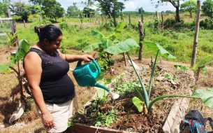 Sécurité alimentaire pour des groupes de femmes vulnérables au Nicaragua