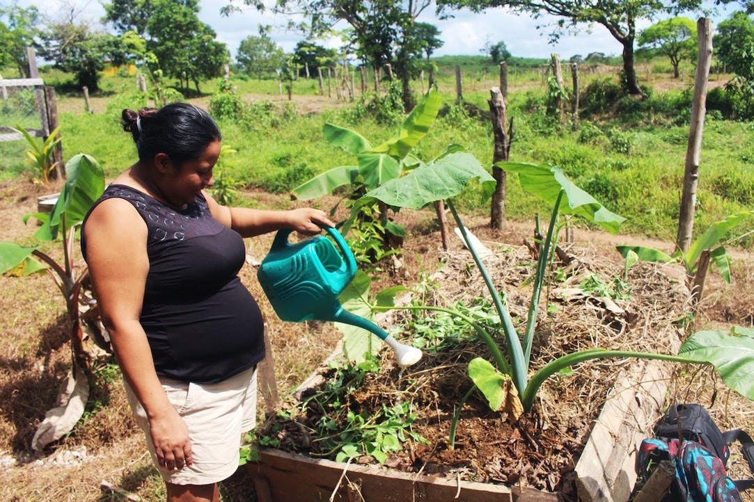 Food Security for Vulnerable Women’s Groups in Nicaragua